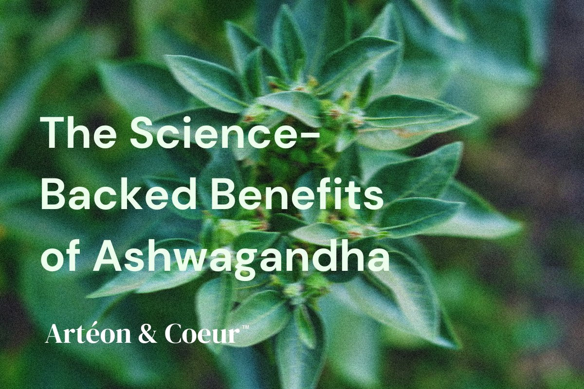 The Science-Backed Benefits Of Ashwagandha – Arteon & Coeur